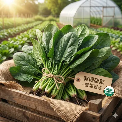 有機菠菜